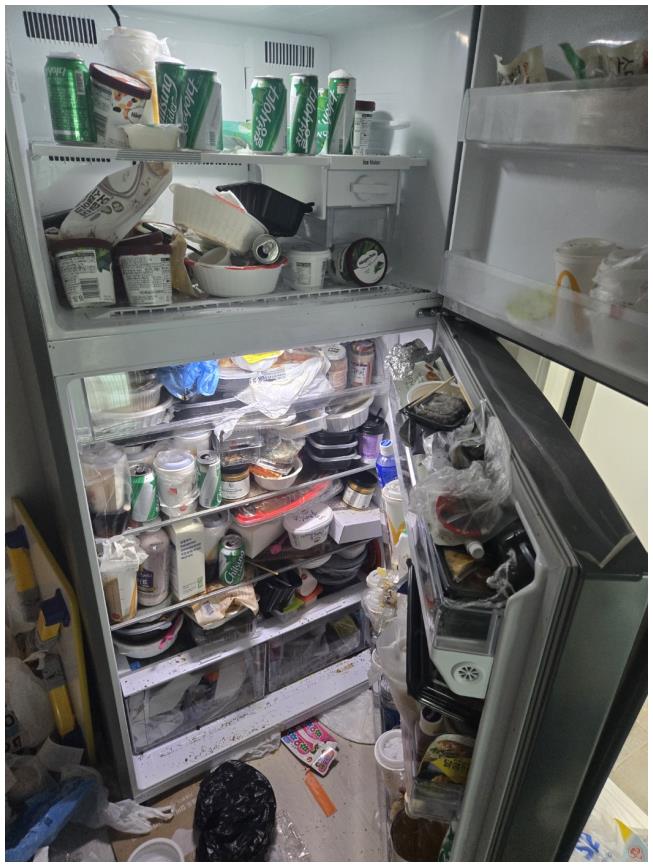 쓰레기집청소 이미지