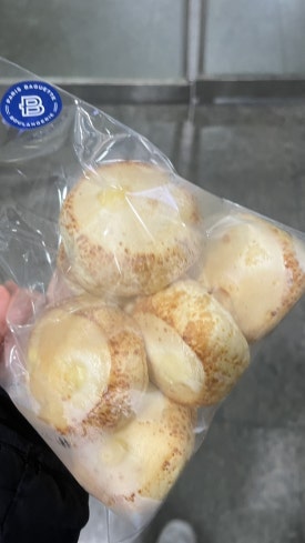 다솔에가다 이미지