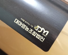 마인주 이미지