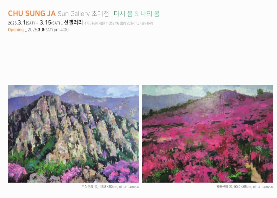 선갤러리 이미지