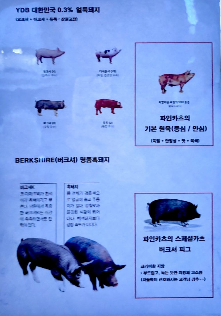 파인카츠 이미지