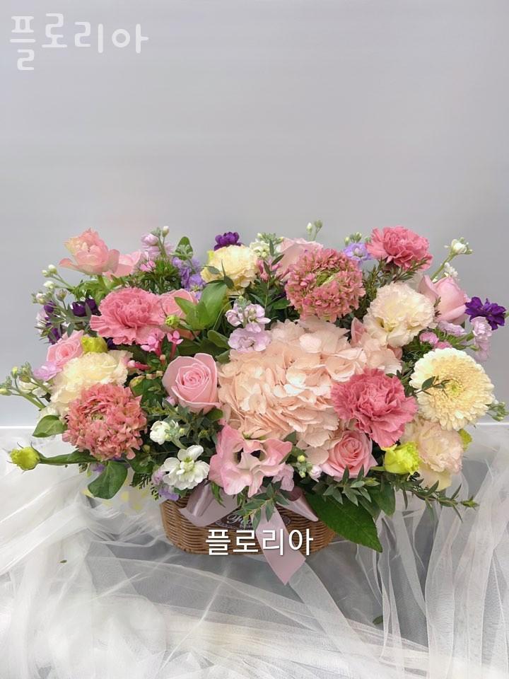 플로리아 이미지