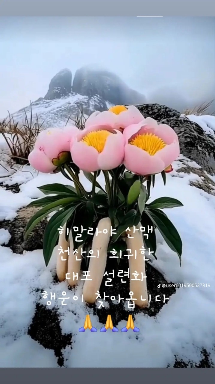 오래도록예쁘게 이미지