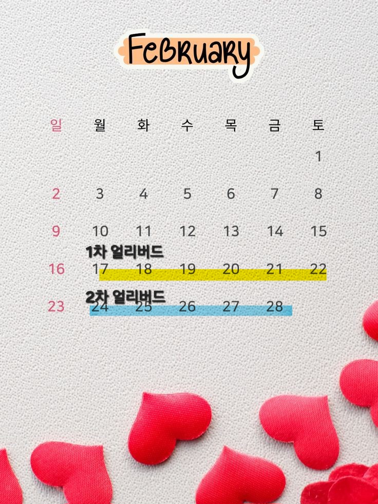 노아폴댄스 이미지