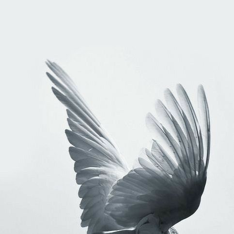 나래방 이미지