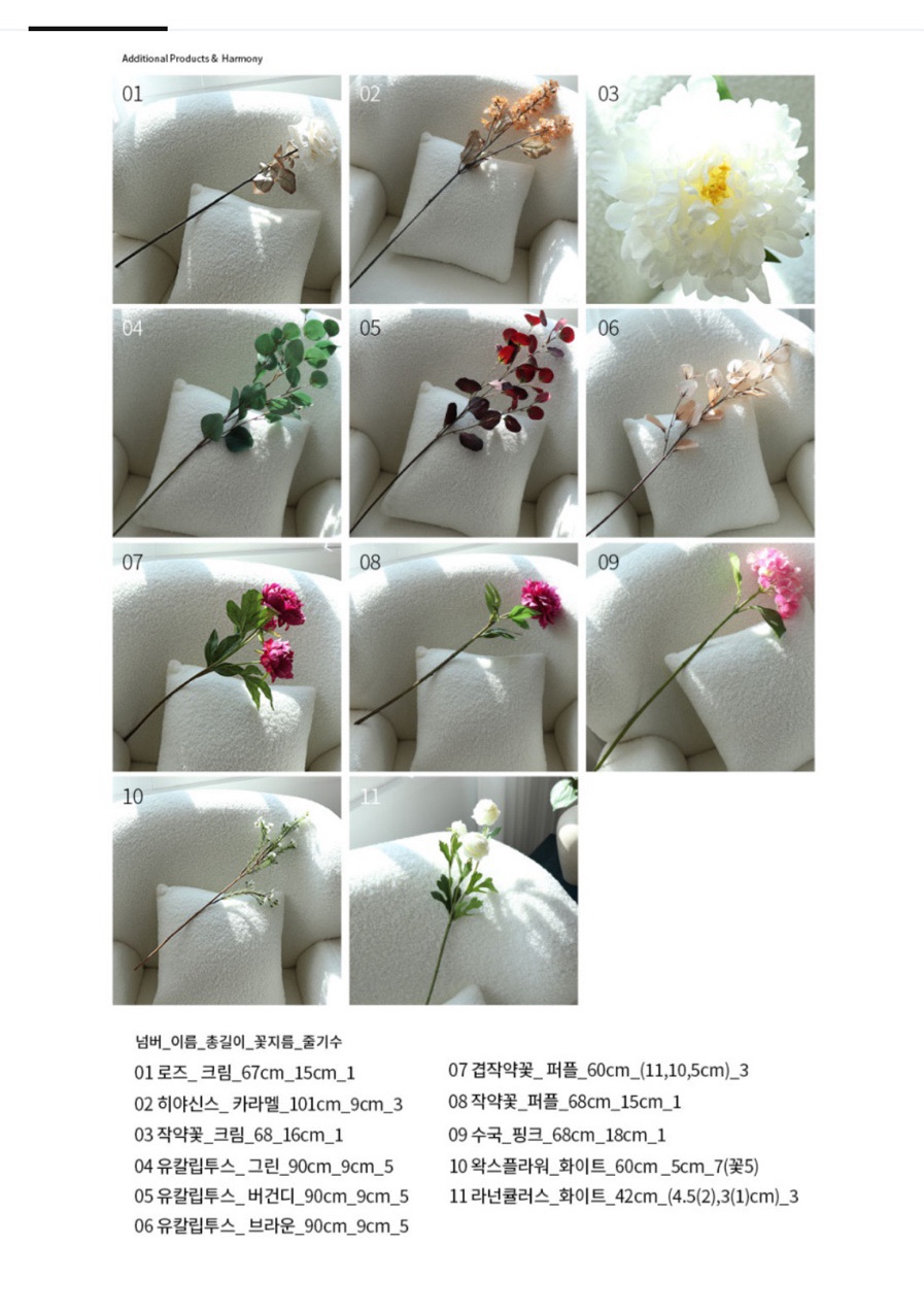 디종플레르 이미지