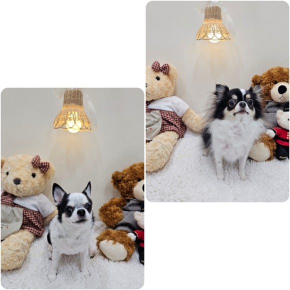 꼬미별 이미지