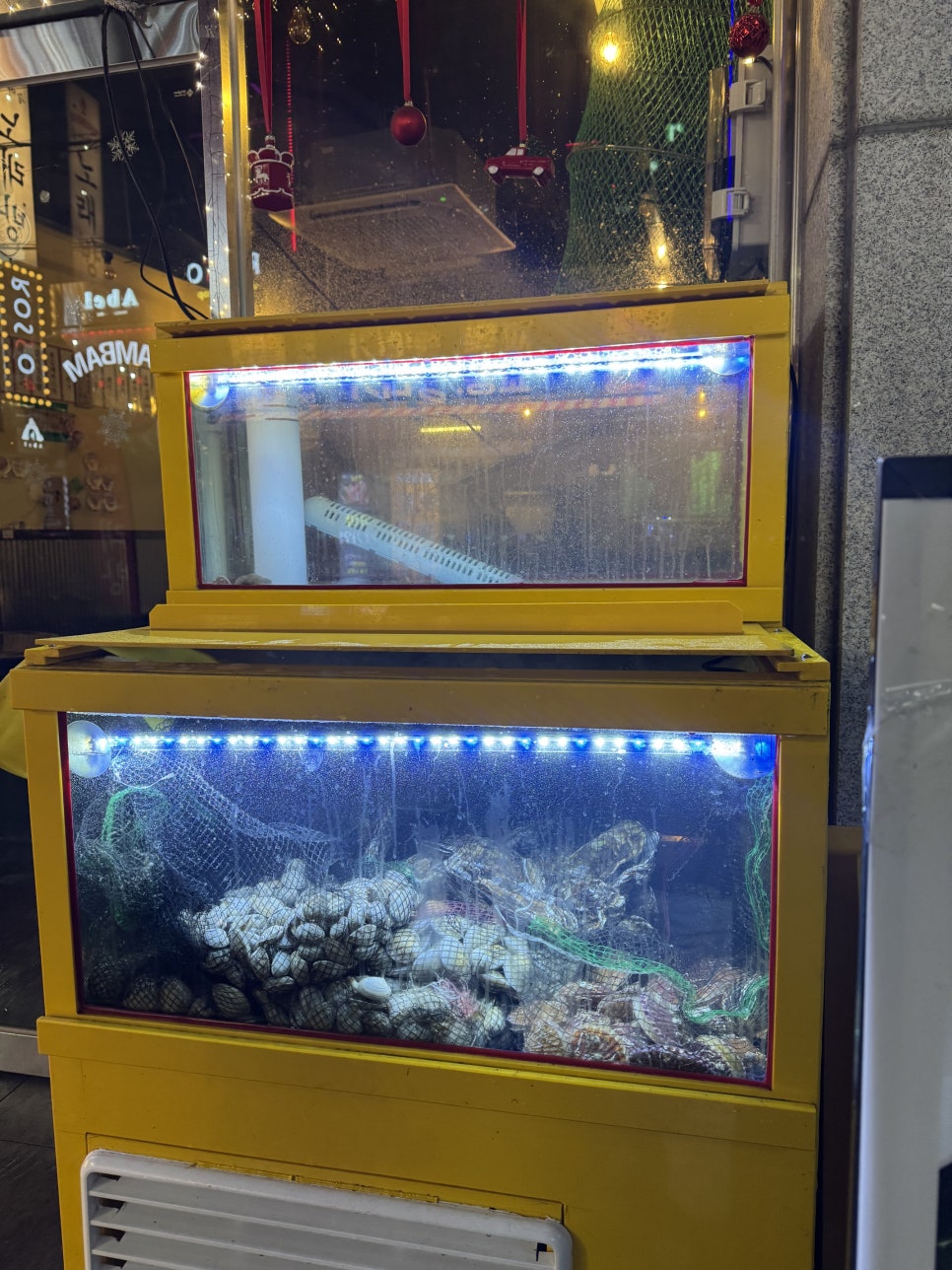 교동조개오빠 이미지