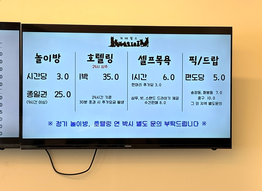 개떼월드 이미지