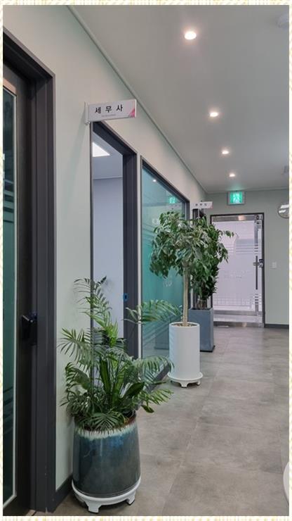 세무법인백두 이미지
