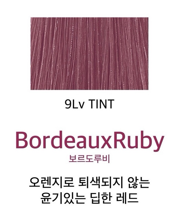 쿠치헤어 이미지