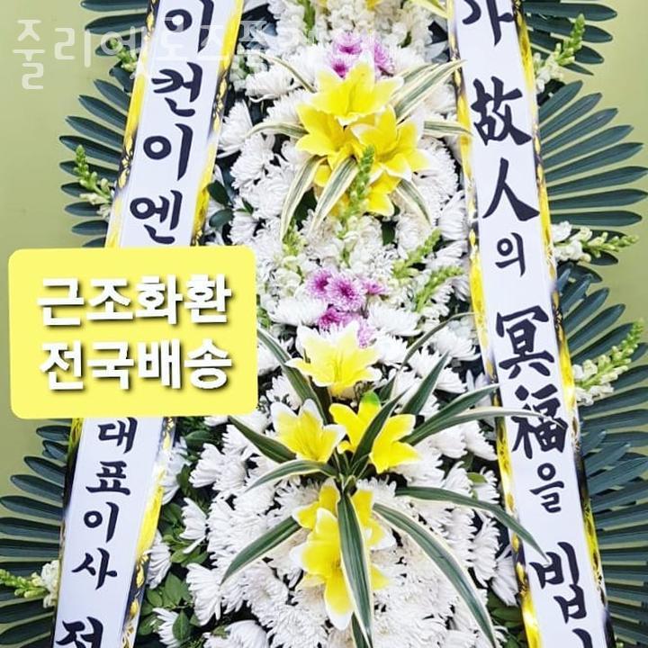 로즈플라워 이미지