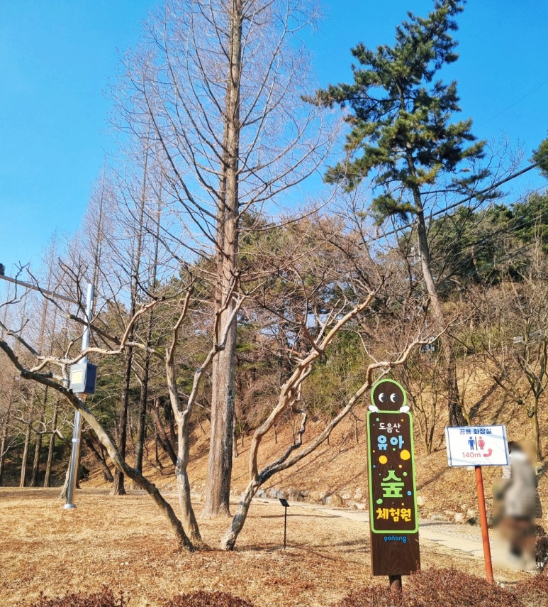 도음산 유아숲체험원 이미지