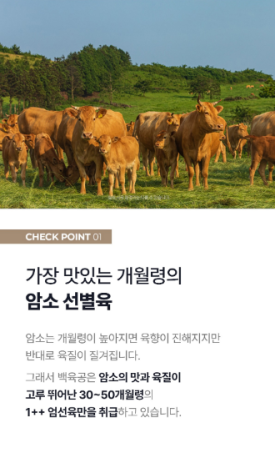 백육공 이미지