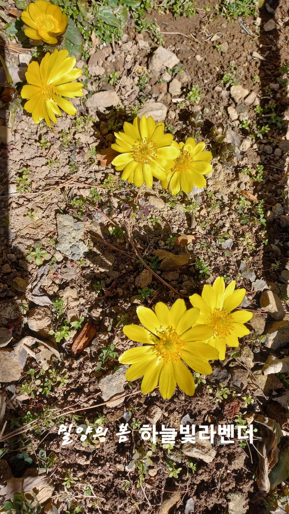 산울농원 이미지