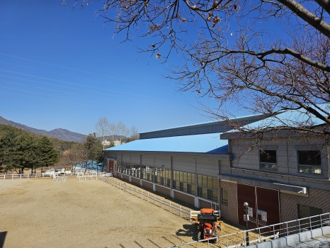 유성승마장 이미지