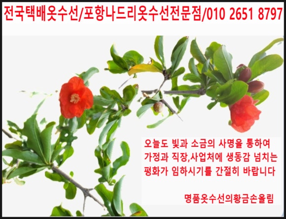 나드리옷수선 이미지