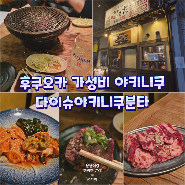 다이슈 이미지