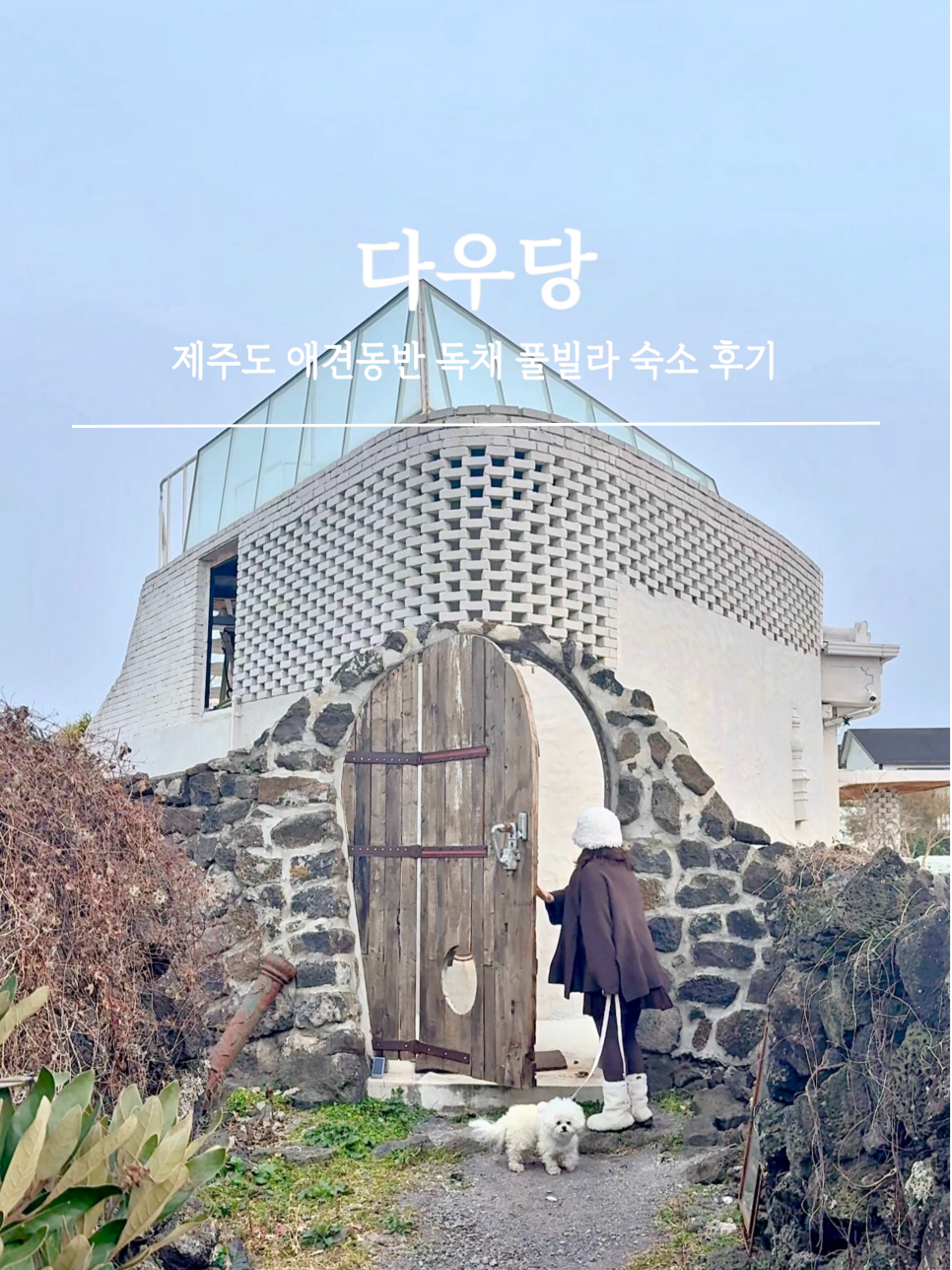 다우당 이미지