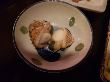 코야 이미지