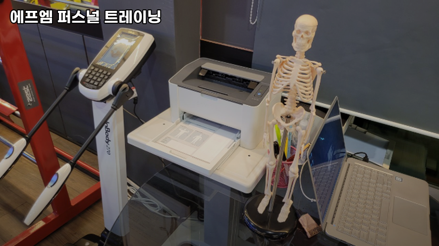 에프엠퍼스널트레이닝 이미지