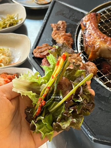 논현돈 이미지