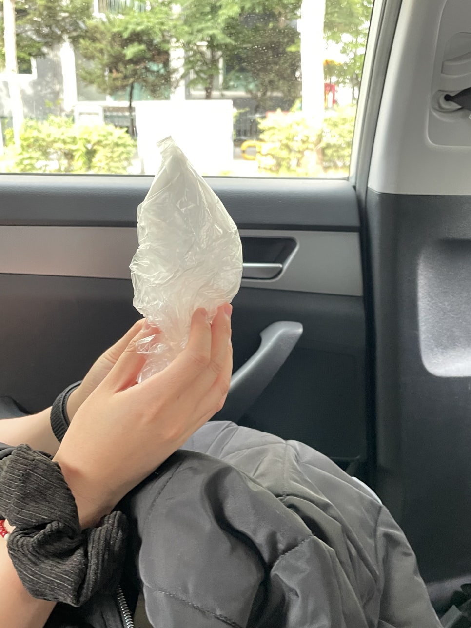 주야대게 이미지