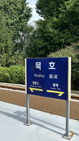 고향의맛손칼국수 이미지
