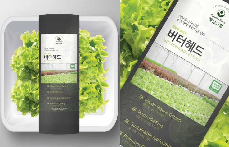 디자인샐러드 이미지