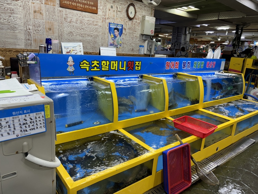 속초할머니횟집 이미지