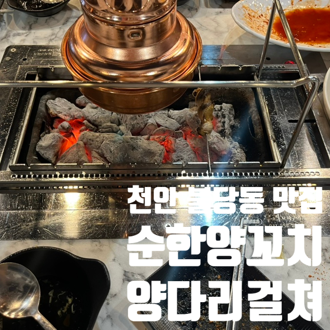 순한양꼬치양다리걸쳐 이미지
