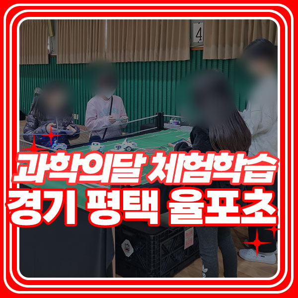 율포초등학교 이미지