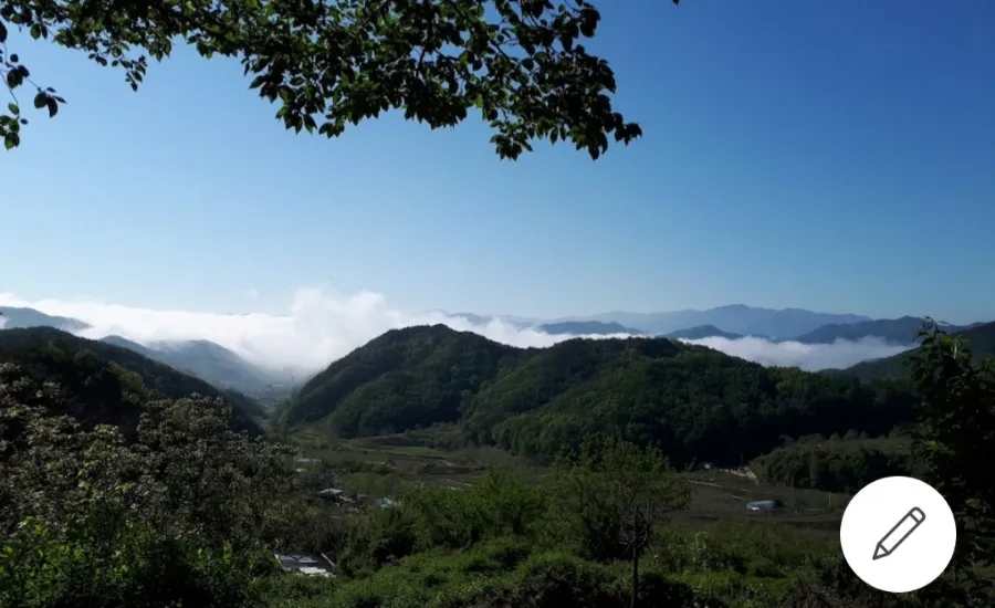 숲속이야기민박 이미지