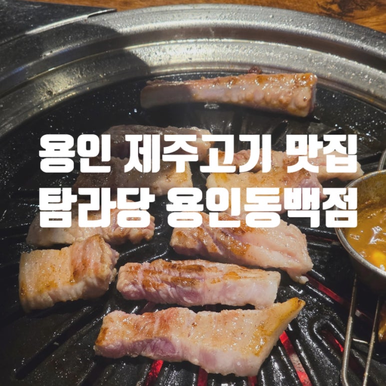 탐라당 이미지