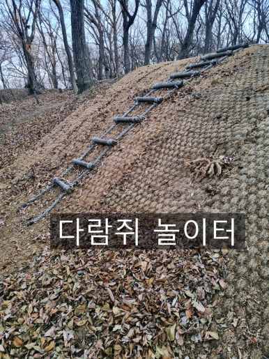 도음산 유아숲체험원 이미지