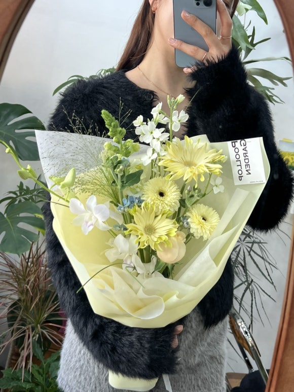 풀롶 이미지