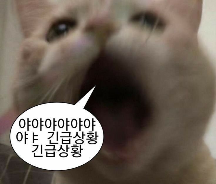 방아다리추어탕 이미지