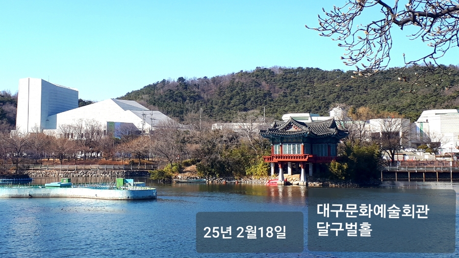 사단법인 대구서예가 협회 이미지