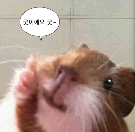흥성양꼬치 이미지