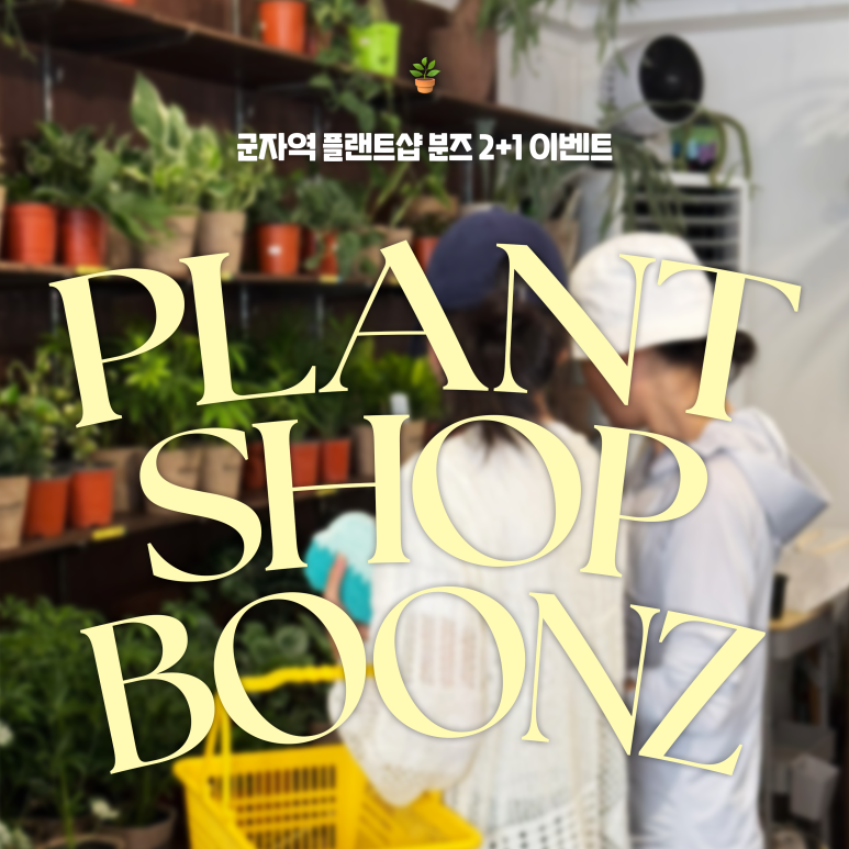 분즈 이미지