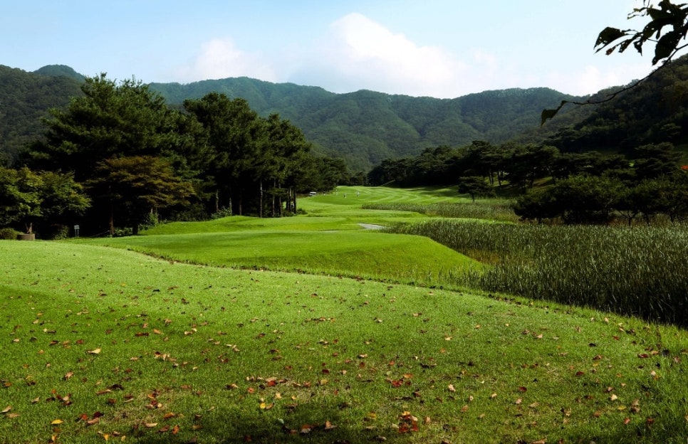 (주)센추리 이미지