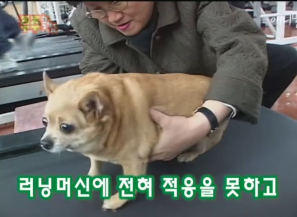 주댕 이미지