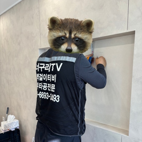 태로인테리어 이미지