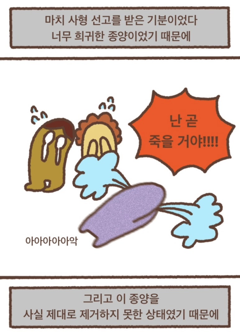 헤이에스 이미지