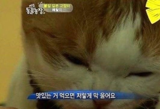 고쿠락 이미지