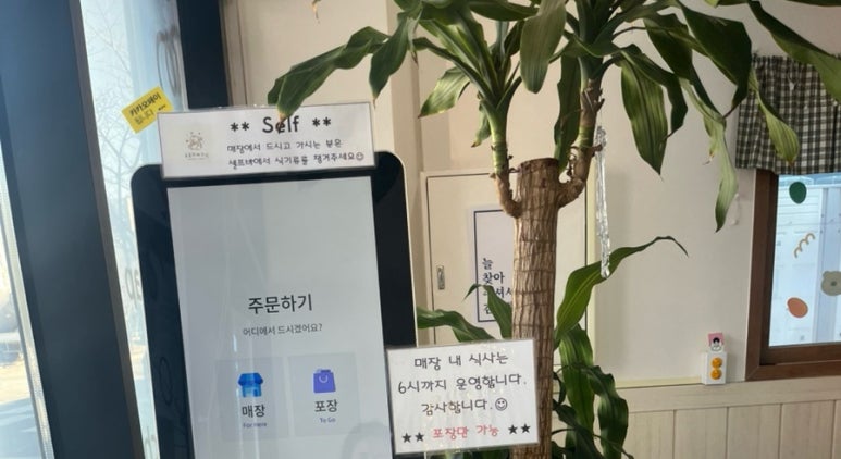 도토리피크닉 이미지