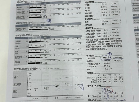에소코핏화성 이미지