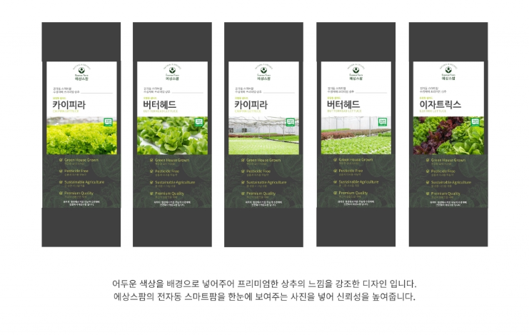 디자인샐러드 이미지