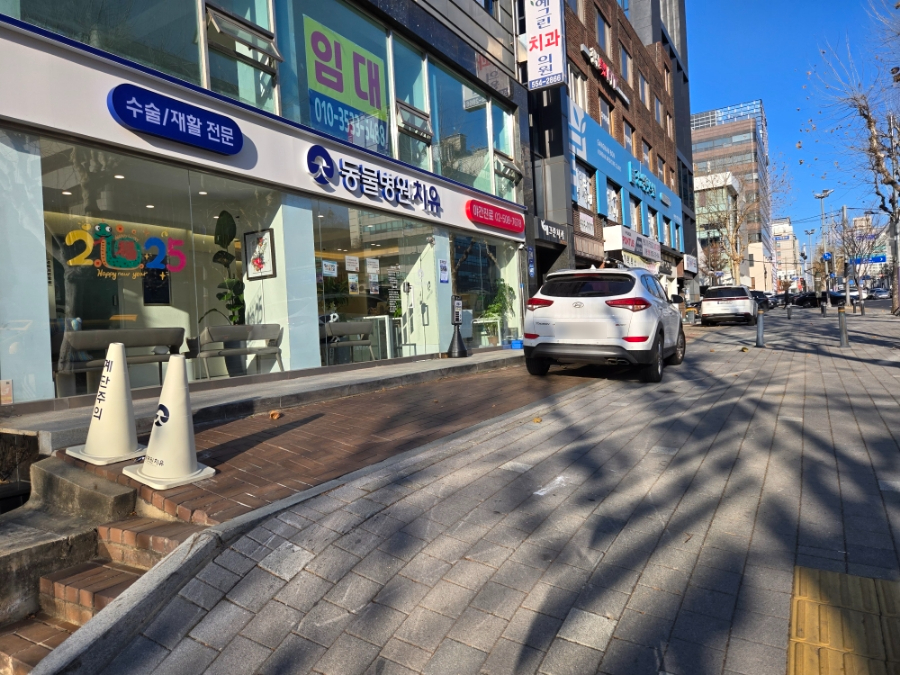강남 24시 도곡치유 동물병원: 강아지 슬개골 건강검진 후기 — 사진 3