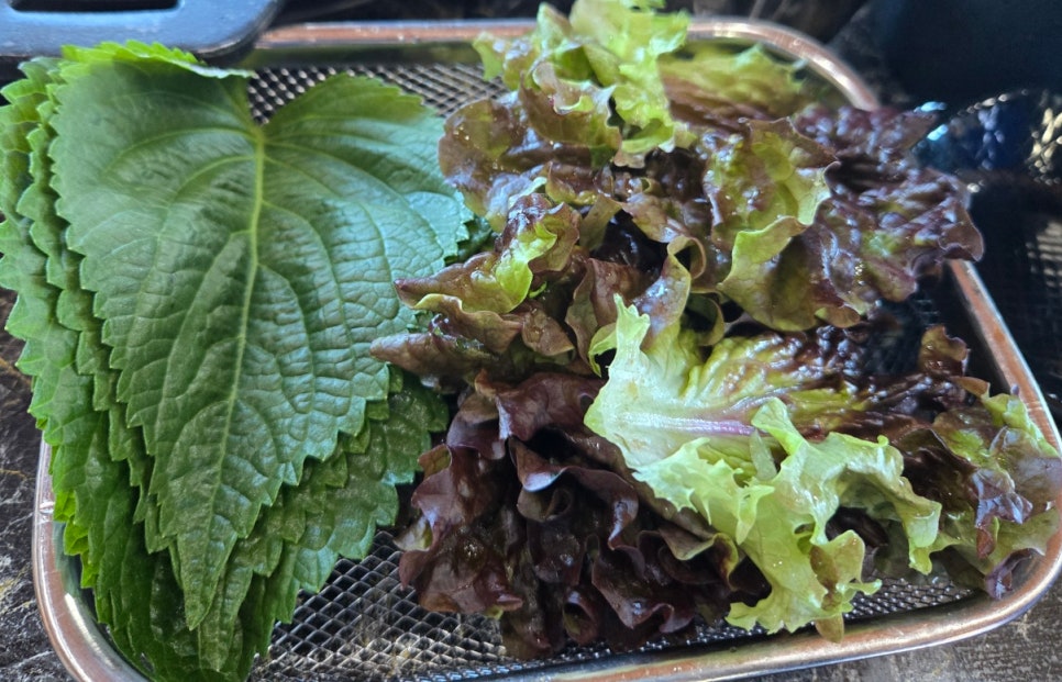 바달마실 이미지